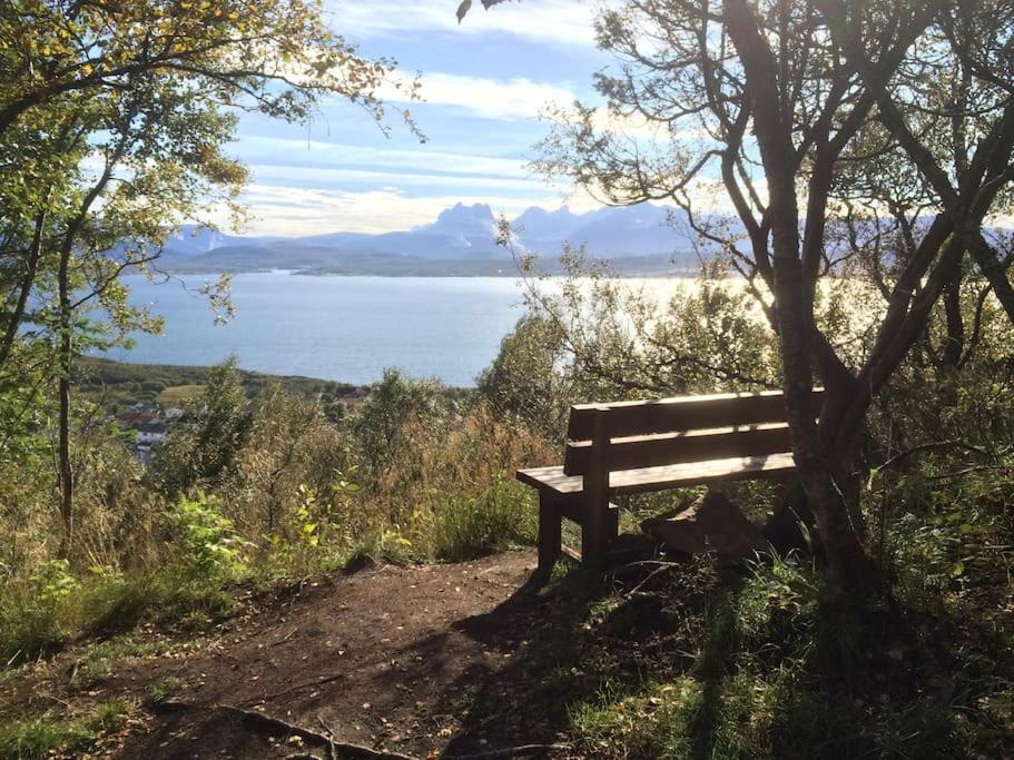 Well-Equipped Apartment With Stunning Views Bodø Zewnętrze zdjęcie